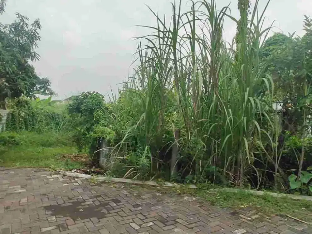 murah tanah citra fajar golf