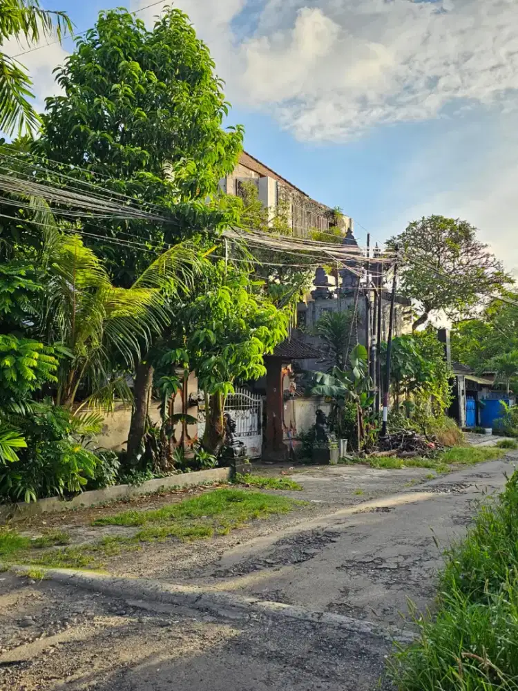 TANAH 3,9 ARE MOH YAMIN RENONN