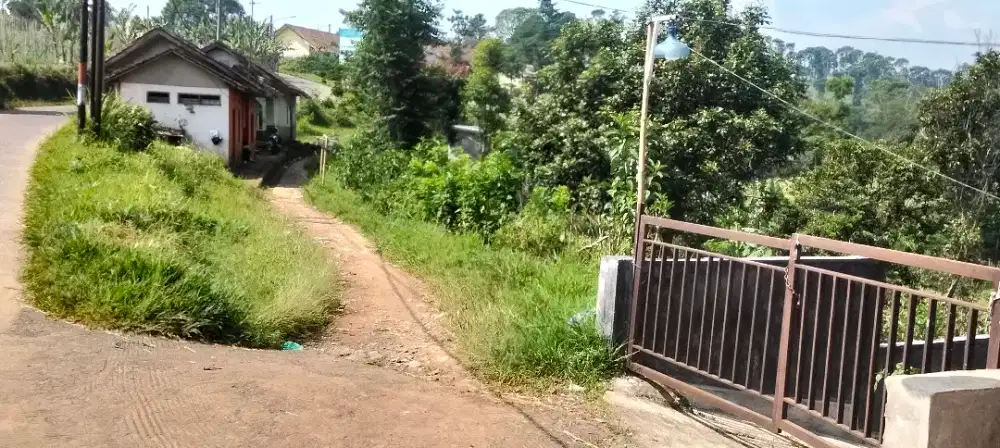 Tanah murah pinggir jalan