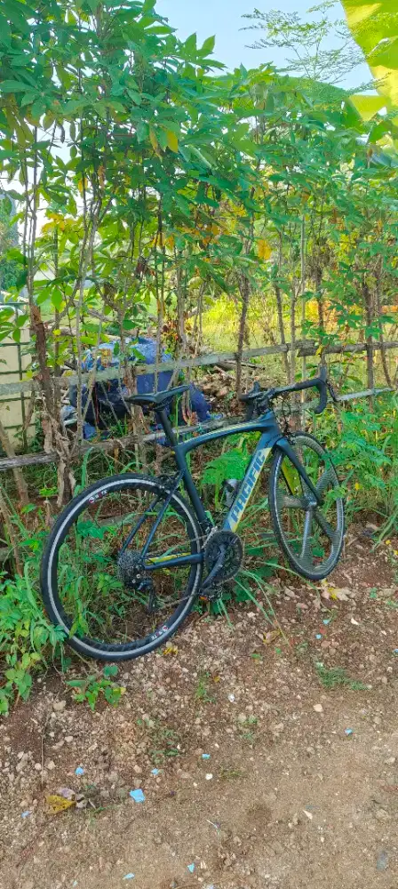 Pacific Primum 5.3 Carbon
