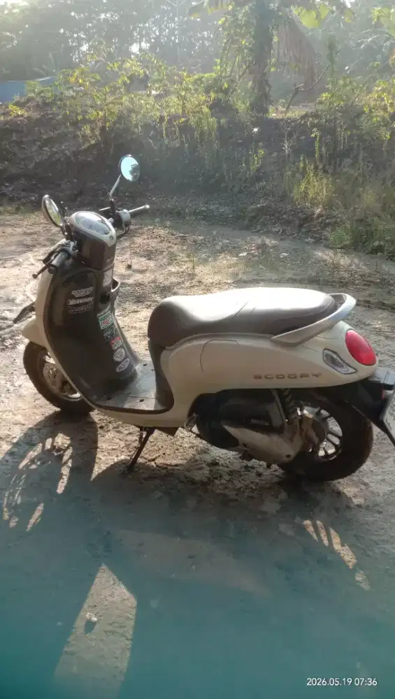 Scoopy prestige 2024