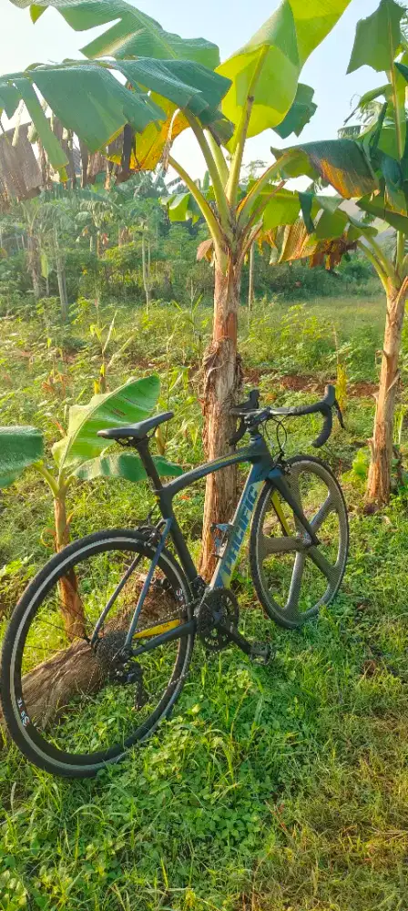 Roadbike Pacific Primum 5.3 Carbon