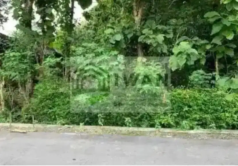 Tanah Pekarangan Luas & Murah Hadap Jalan Lebar Ada Aliran Airnya