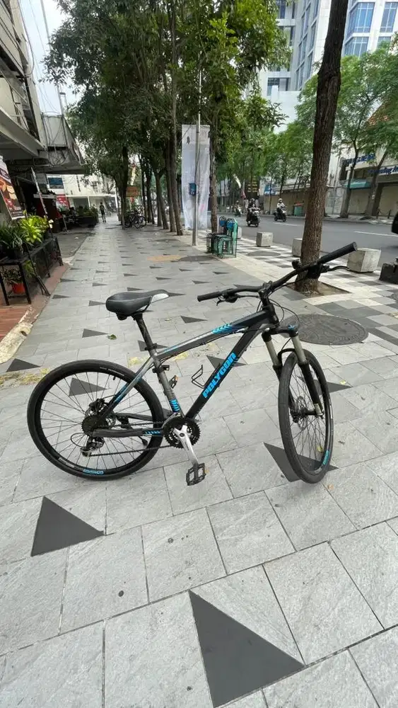 Polygon MTB Cozmic TX 3
