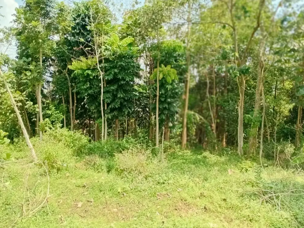 Jual Tanah Investasi
