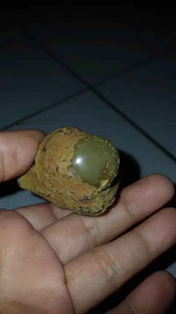 Fosil kayu nogosari cirebon barang antik