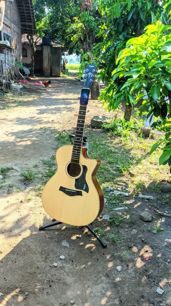 Gitar Akustik Taylor High Quality Baru
