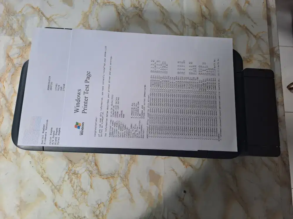 Printer epson L110