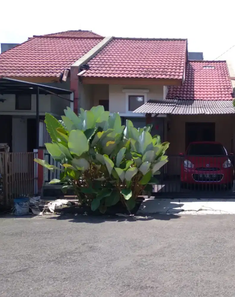 Dikontrakan lokasi strategis