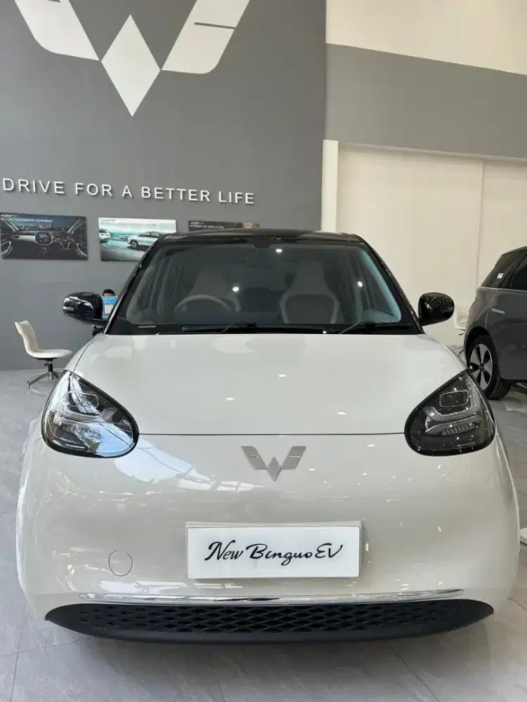 Binguo EV Pro 333