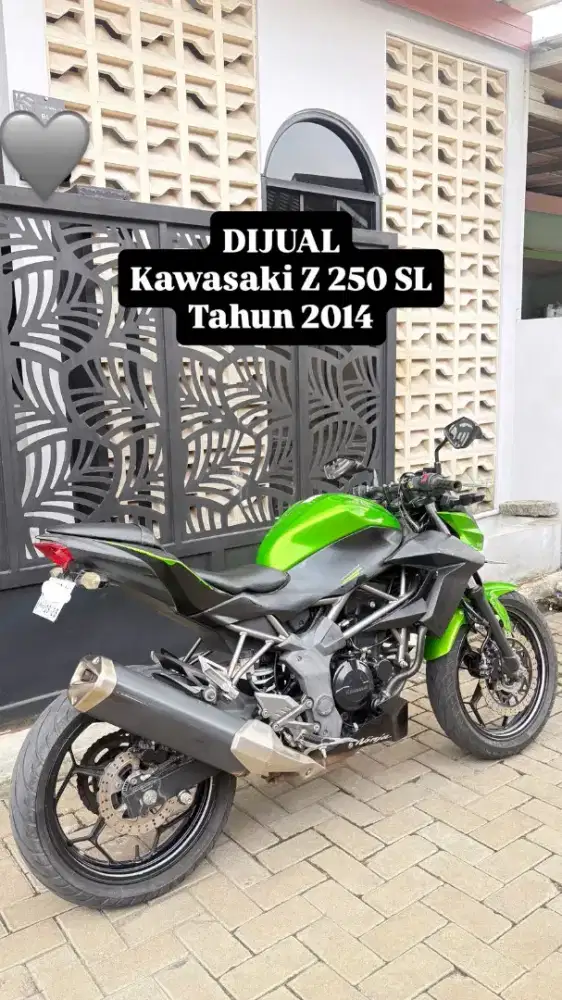 Ninja Z 250 SL (bekas berkualitas)