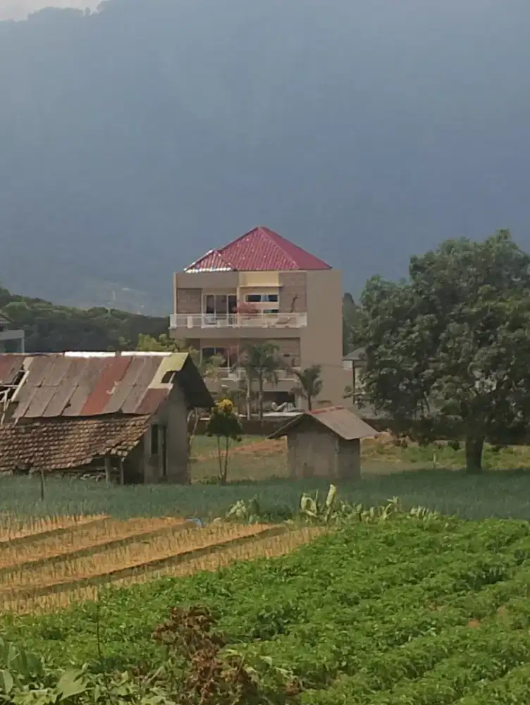 25 Are Lake View Beratan Bedugul