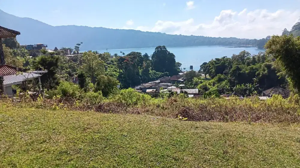 51,3  Are Lake View Bedugul Mainroad