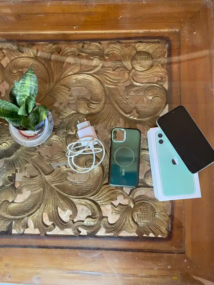 FS iPhone 11 128 GB Tosca Inter fullset