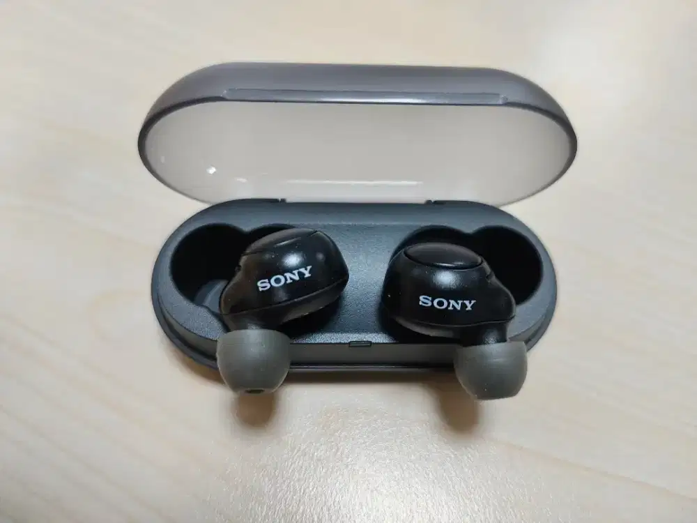 Earbuds Sony WF C500