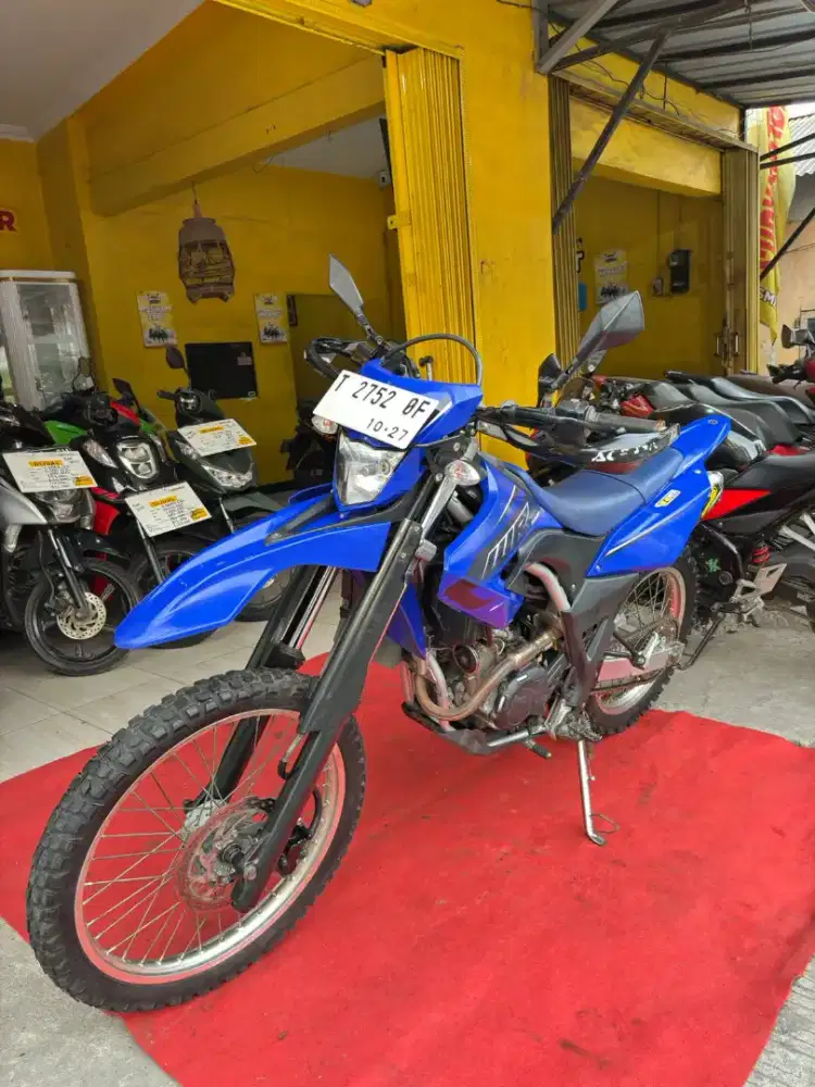 Y. WR 155R Thn 2022