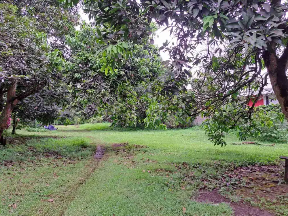 DIJUAL TANAH SHM LOKASI STRATEGIS DEKAT KOTA WISATA CIBUBUR