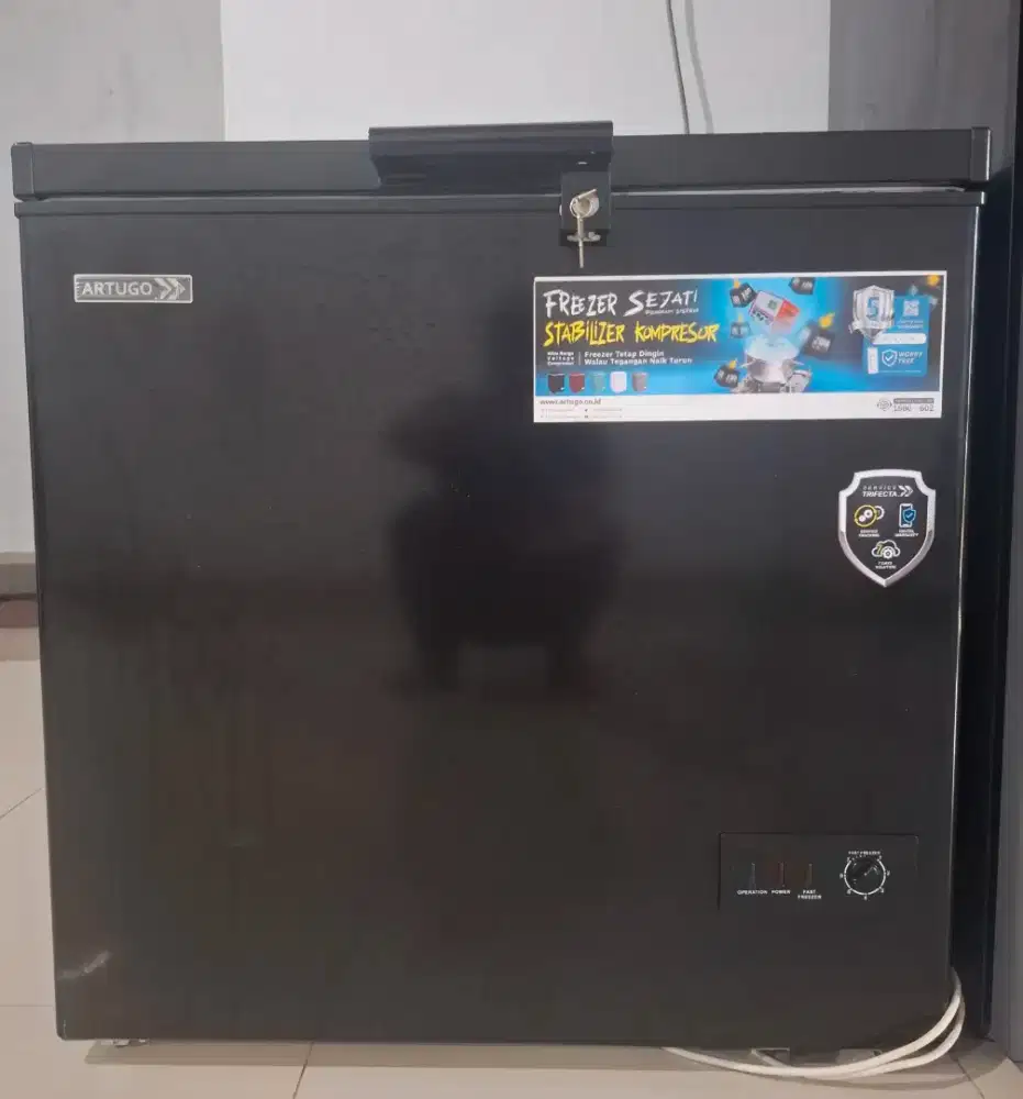 Frezeer ARTUGO 200 L
