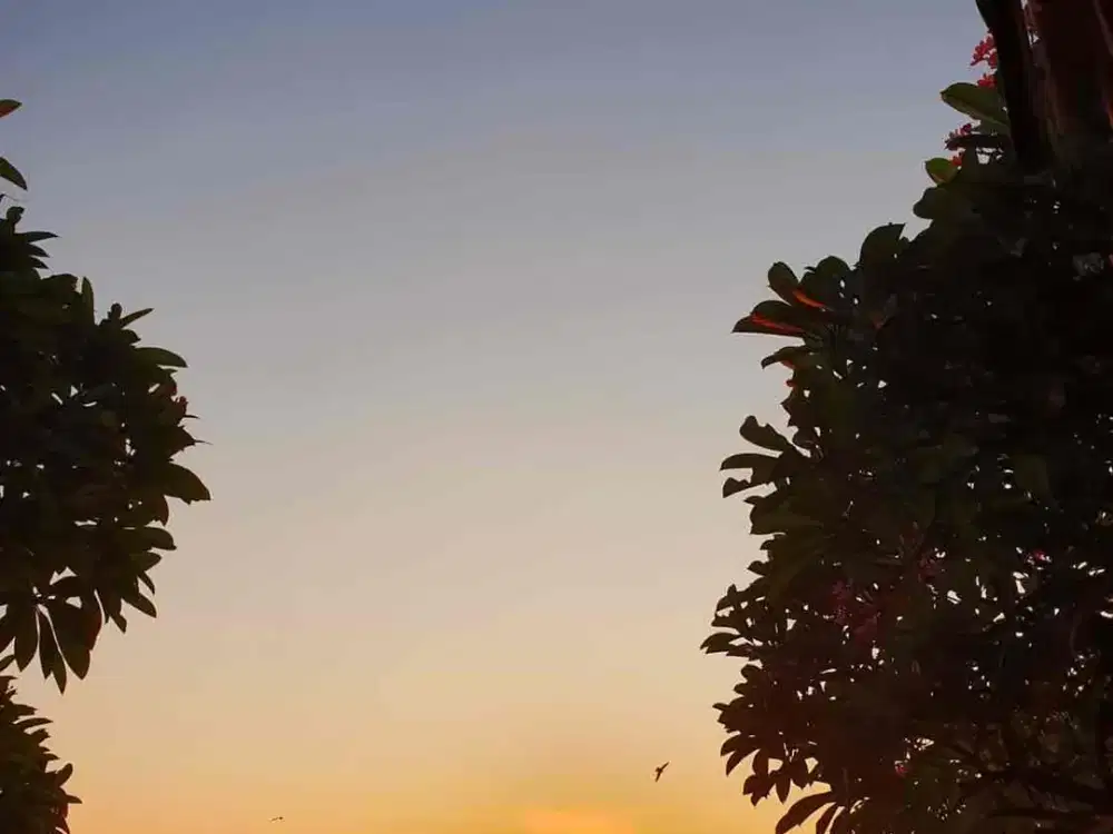 Villa Premium Ocean View Amed Karangasem Bali