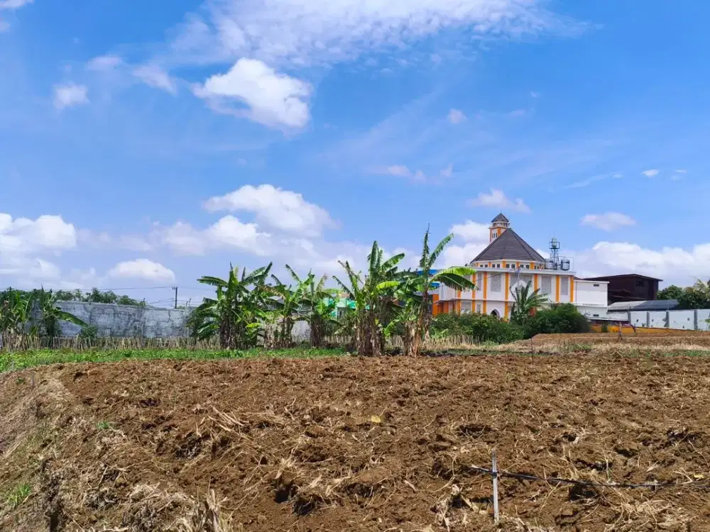 Tanah Area Perumahan Asri, Cocok Bangun Rumah atau Investasi