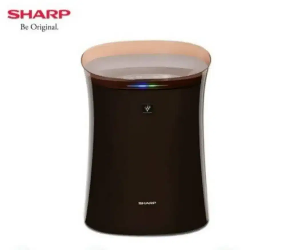 Air purifier ion