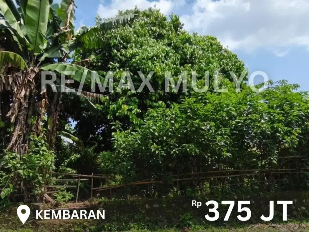 Dijual Tanah Posisi Strategis dekat Pusat Pendidikan dan Kesehatan Area kembaran