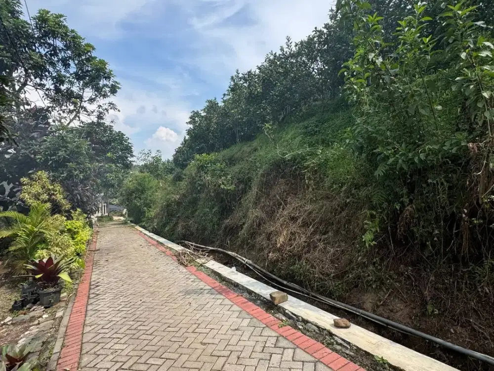 Tanah perkebunan jeruk di Kota Batu Harga Terjangkau di Kawasan Wisata selecta