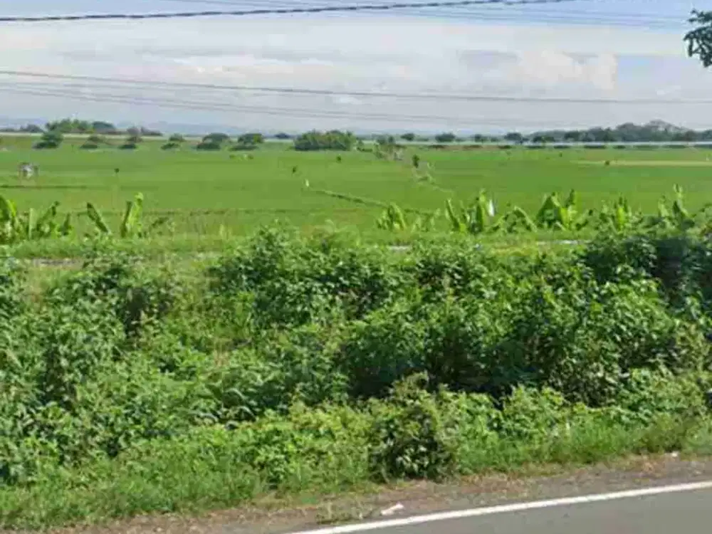 Lahan industri luas 20 HA harga 750 ribu permeter, 10 km dari gerbang tol Nganjuk