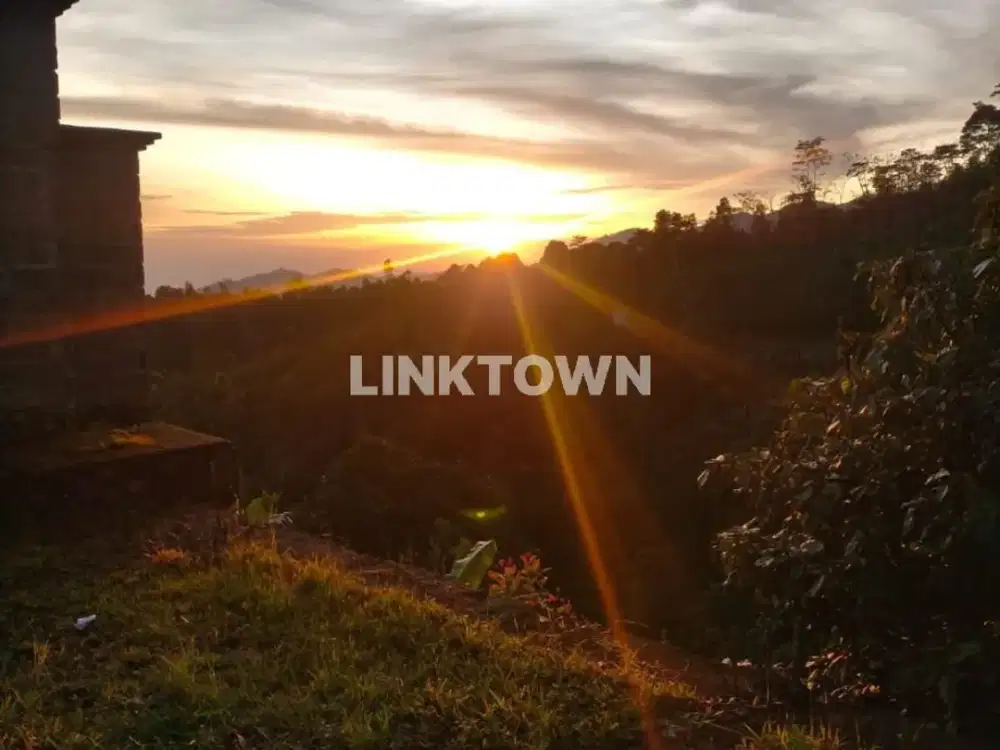 Dijual tanah 6,5ha (651,20 are) di kawasan wisata TURYAPADA TOWER dekat Bedugul Bali