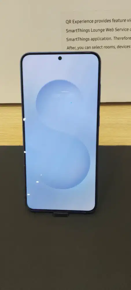 SAMSUNG GALAXY S25