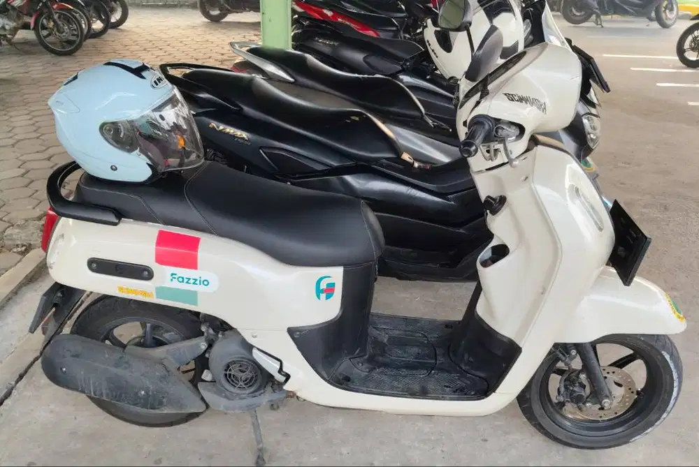 Fazzio 2023 matic