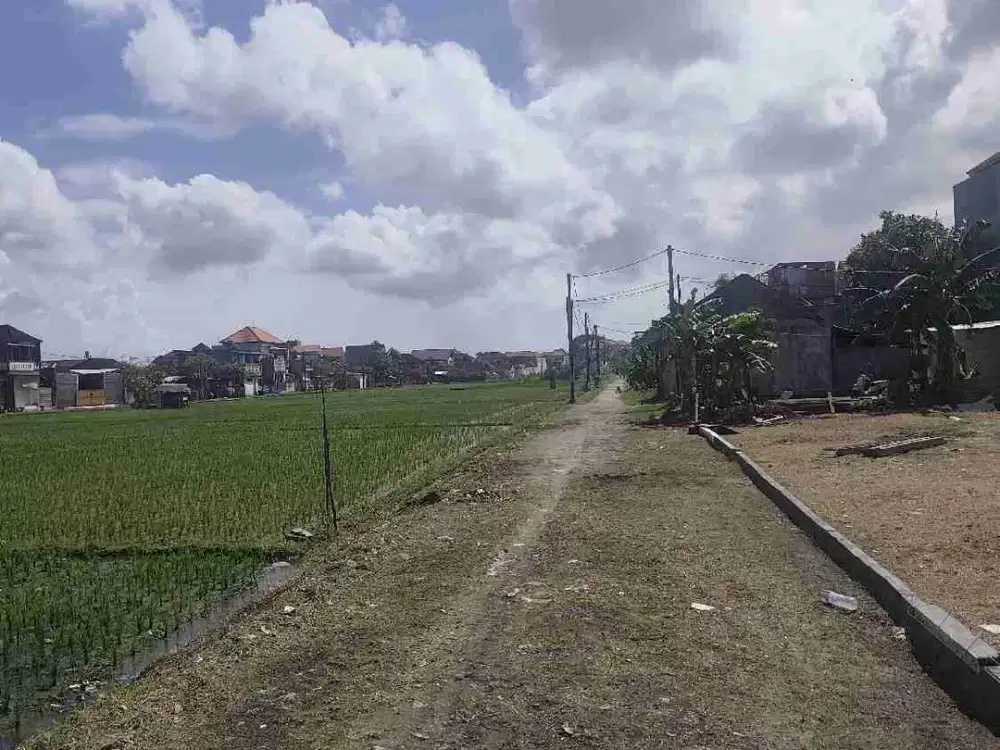 Jual Tanah 160meter Lokasi Jl Pura Demak Hadap Selatan area Strategis & Tidak Banjir Hadap Selatan & Zona Kuning