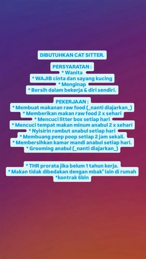 cat sitter bersih2