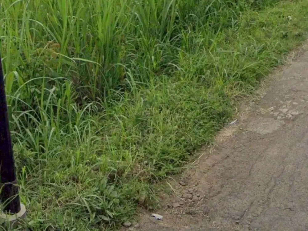 V1 Dijual Tanah Super Luas di Ngijo Karangploso Malang