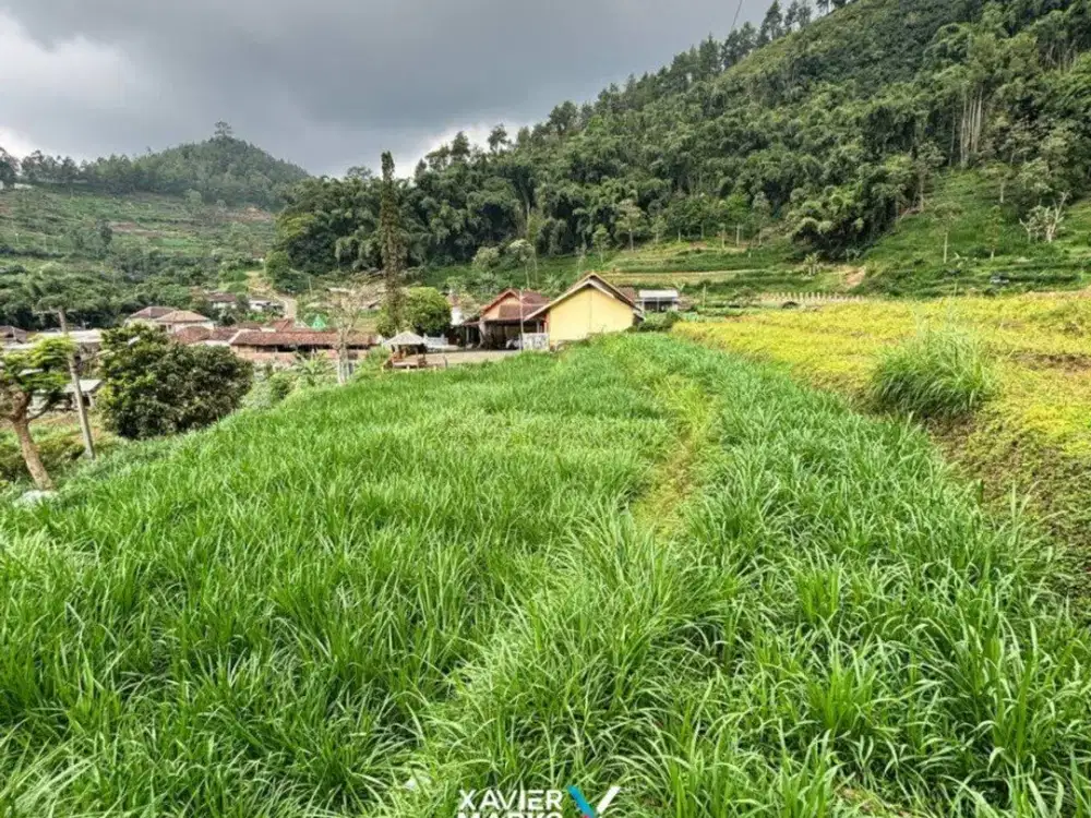 V1 Dijual Tanah Cocok untuk Peternakan di Dusun Brau Bumiaji Batu