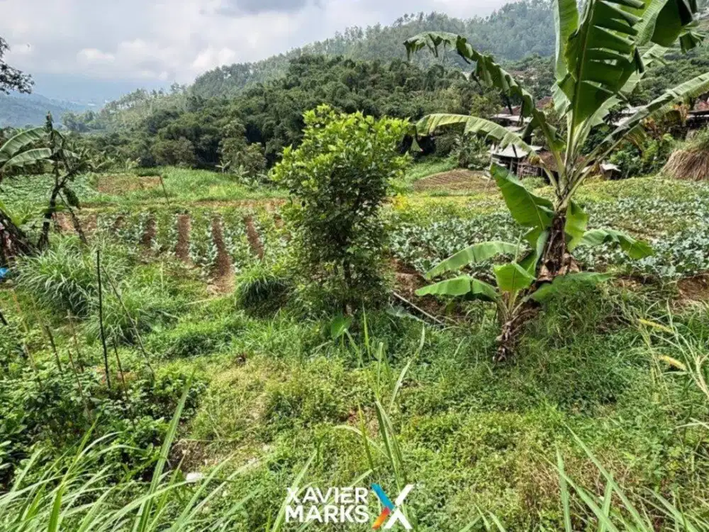 V1 Dijual Tanah Cocok untuk Peternakan di Dusun Brau Bumiaji Batu