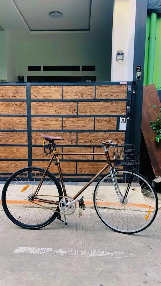 Fixie, classic bike, commuter bike
