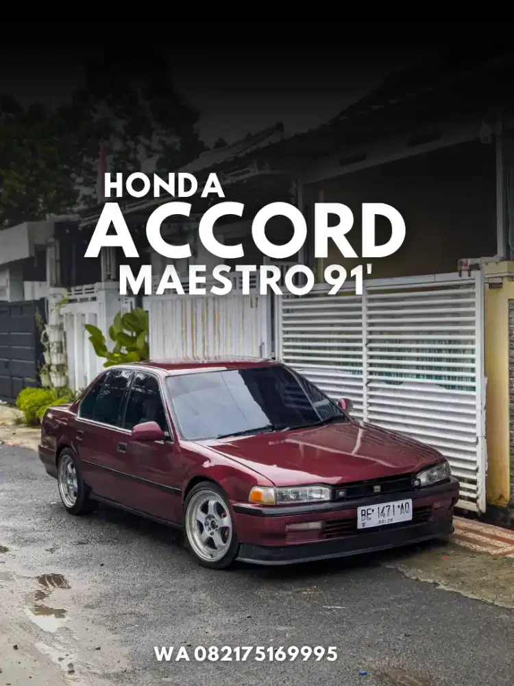 ACCORD MAESTRO 91'
