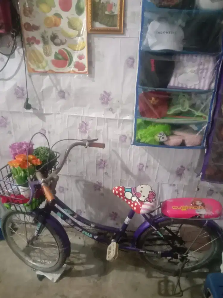 Sepeda dewasa bonceng 2 org