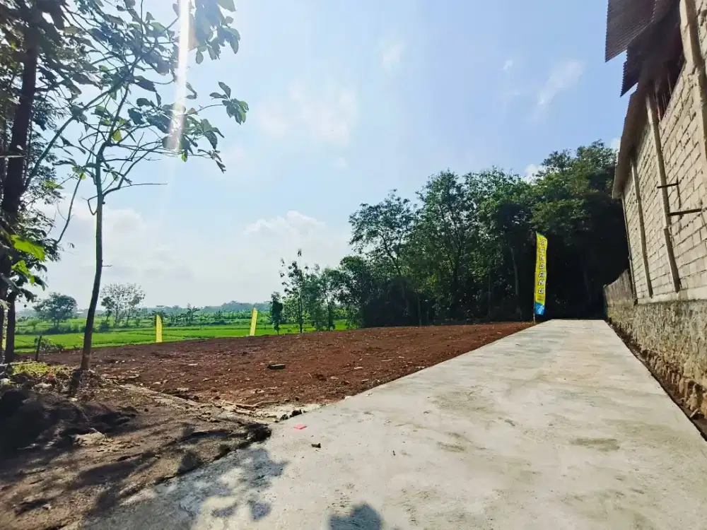 Tanah murah kedawung