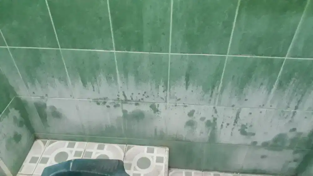 BUTUH CEPAT ? Jasa Cleaning Soloraya bisa HARI INI mulai 150k