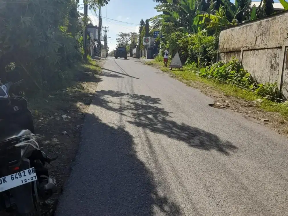JUAL TANAH LANGKA CARGO