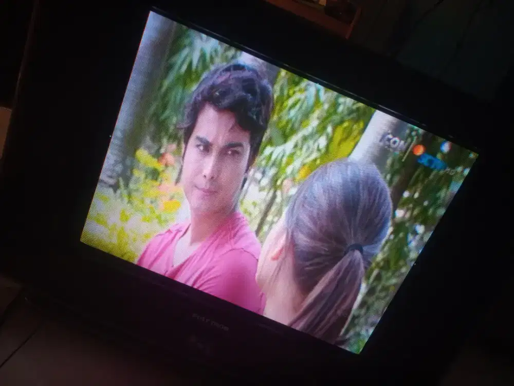 Tv Polytron 21 in