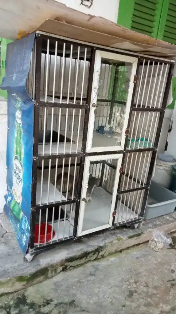 Kandang kucing 2 tingkat