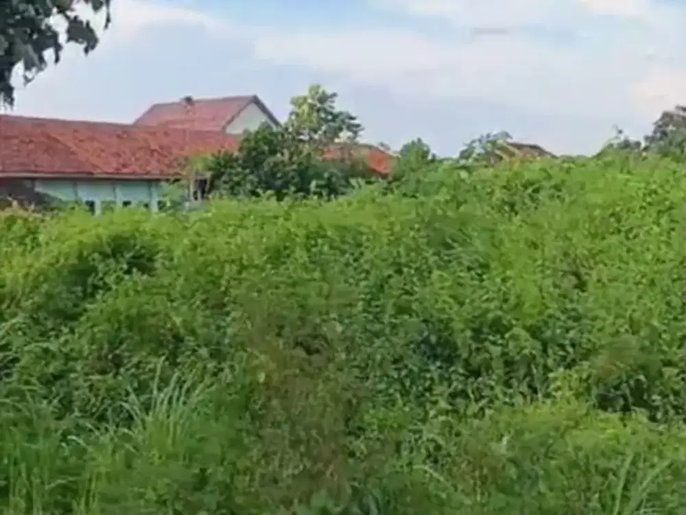 Dijual Cepat Tanah Pekarangan Zona Kuning Lokasi Strategis Jaten, Karanganyar Luas 3038m2