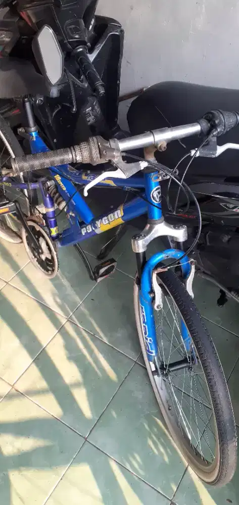 sepeda polygon ukuran 24 siap pakai
