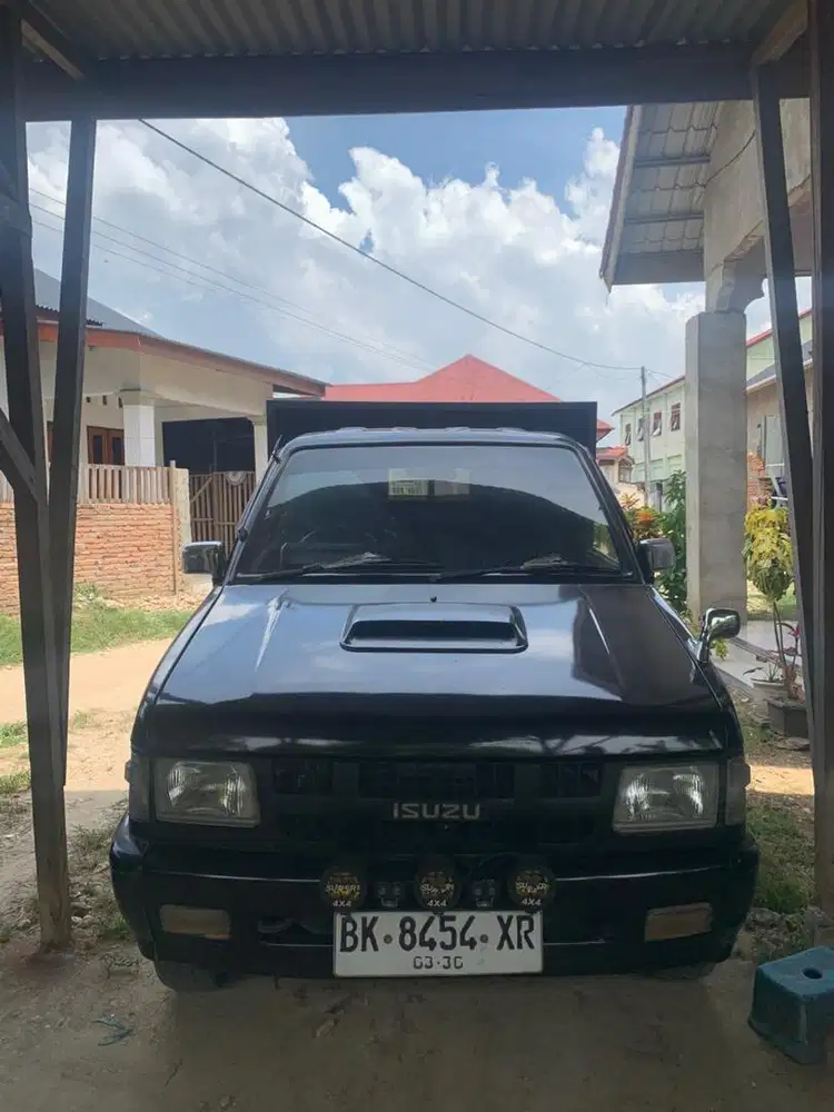 panther pick up 2010