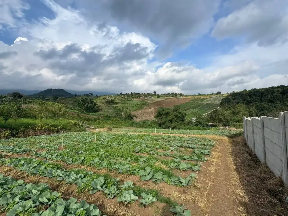 Tanah Pertanian Strategis di Kawasan Perkebunan Unggulan Kota Batu
