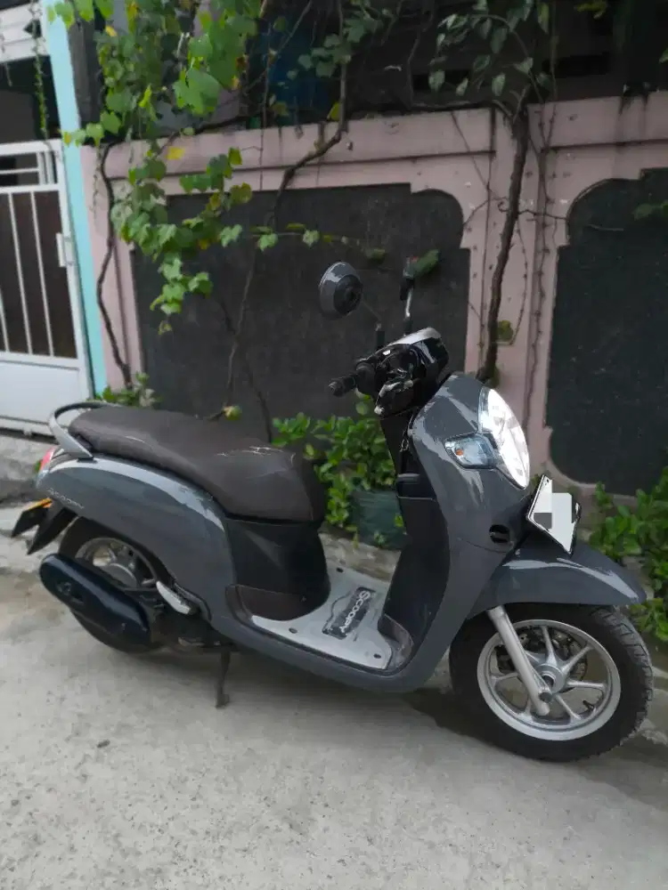 SCOOPY DONAT PAJAK HIDUP bisa TT juga