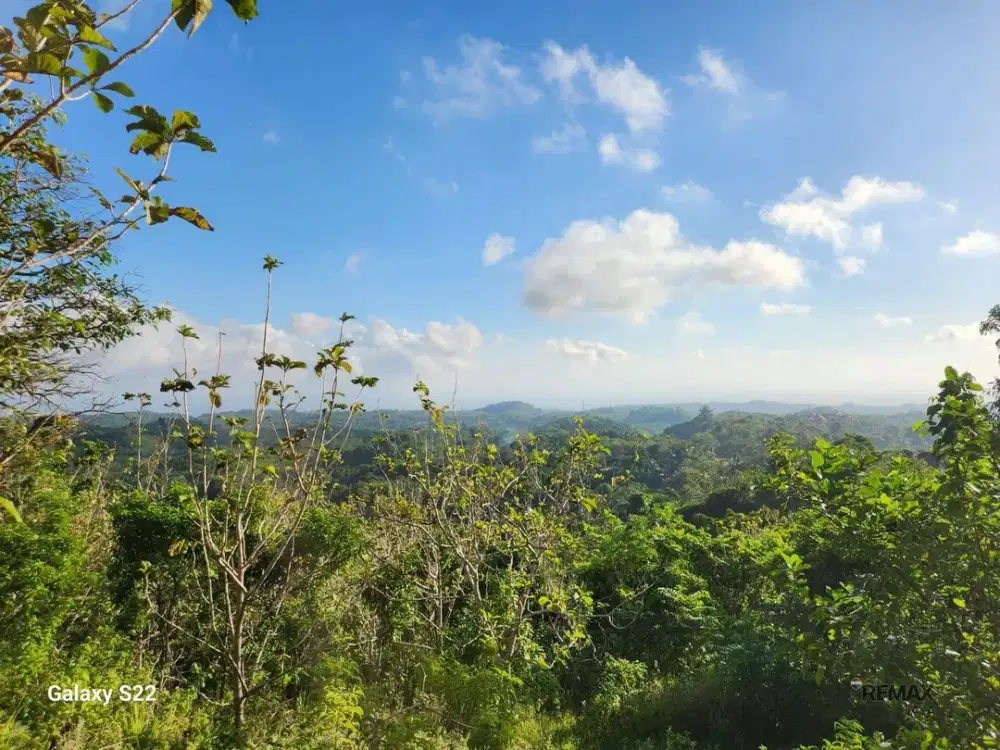 Tanah Premium 13.700 m2 View Laut & Gunung Dijual, di Nusa Penida